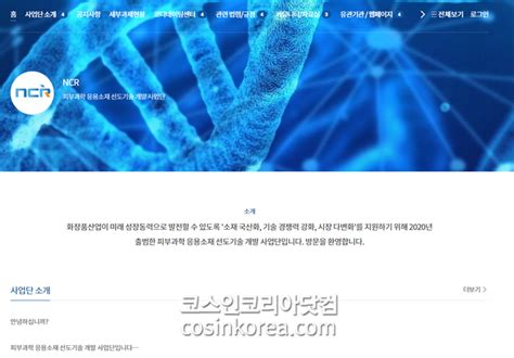 2022 한국 화장품 기술수준 조사 보고서